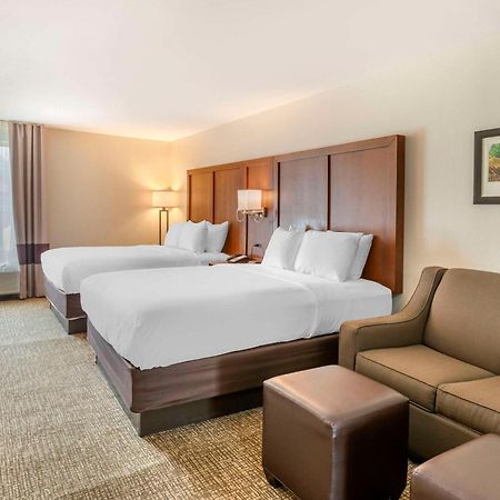 Comfort Inn Petersburg Near Fort Gregg-Adams Εξωτερικό φωτογραφία