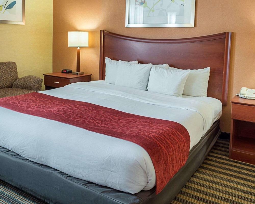 Comfort Inn Petersburg Near Fort Gregg-Adams Εξωτερικό φωτογραφία