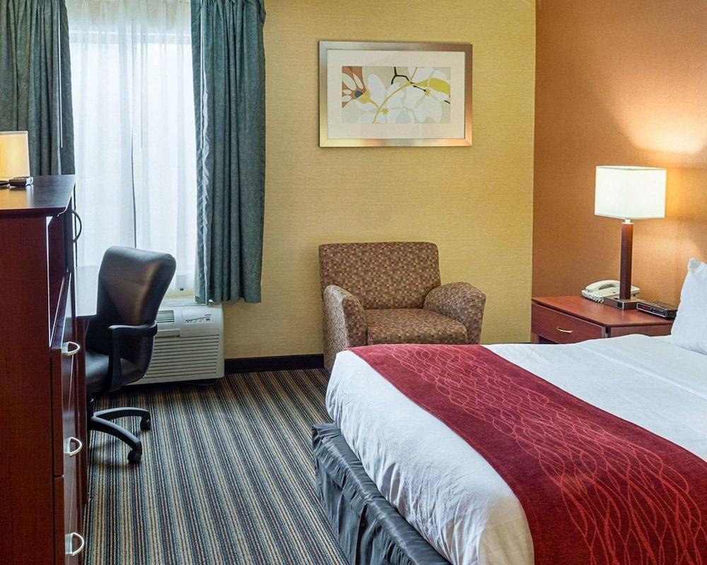 Comfort Inn Petersburg Near Fort Gregg-Adams Εξωτερικό φωτογραφία