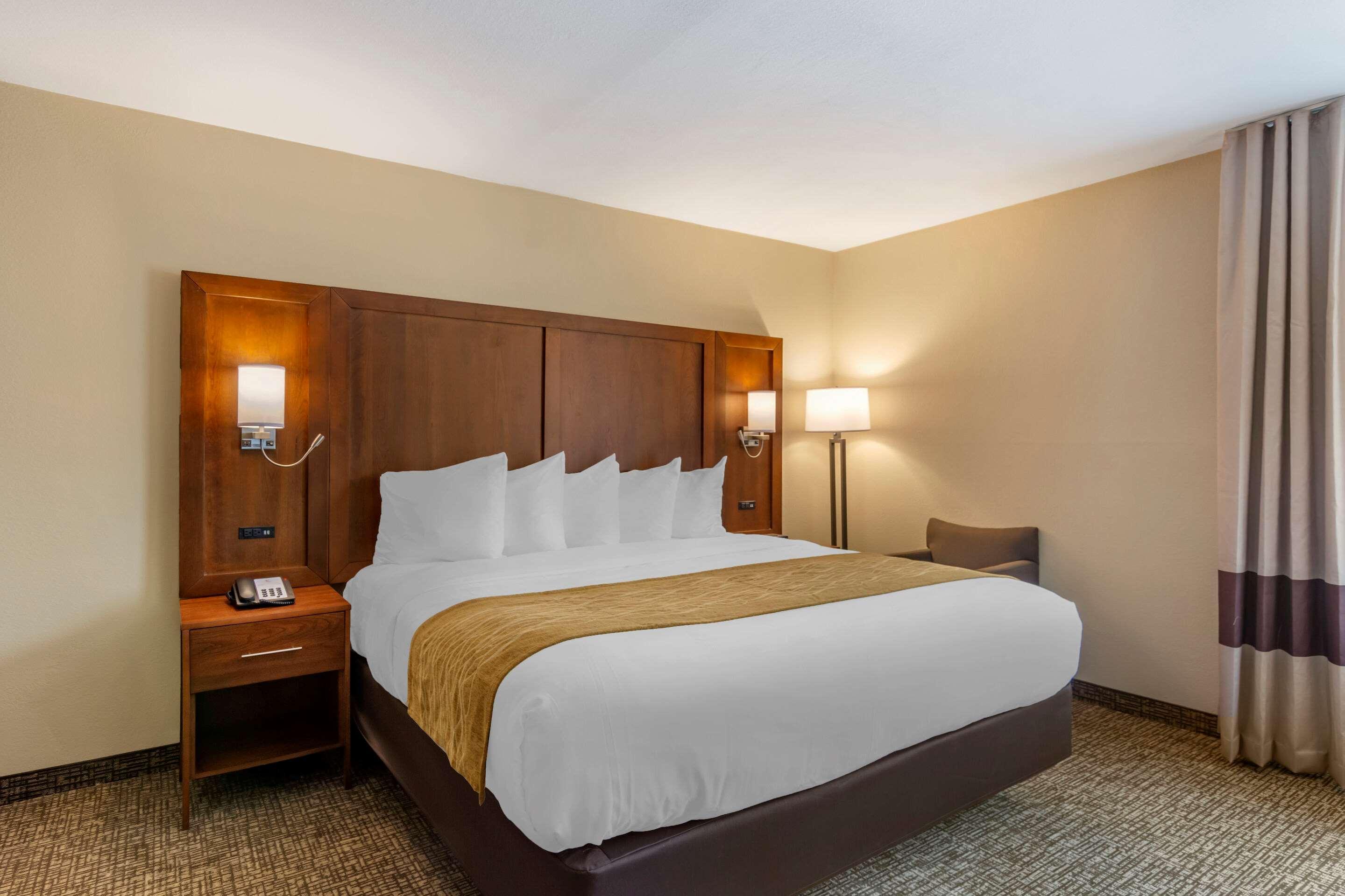 Comfort Inn Petersburg Near Fort Gregg-Adams Εξωτερικό φωτογραφία