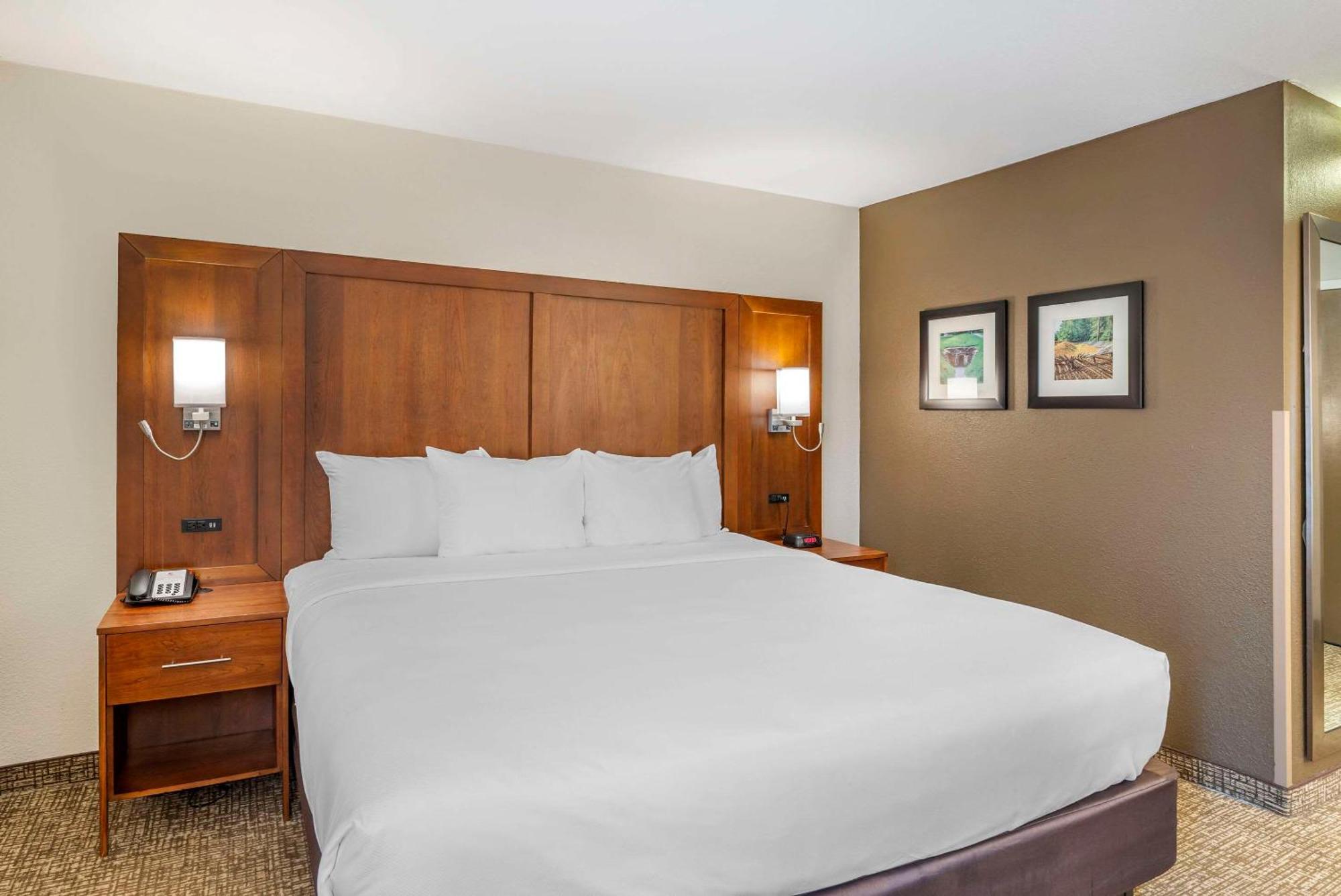 Comfort Inn Petersburg Near Fort Gregg-Adams Εξωτερικό φωτογραφία