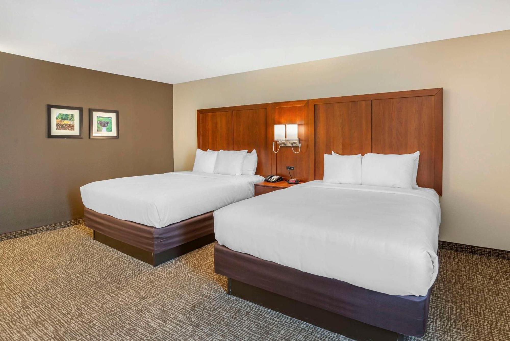 Comfort Inn Petersburg Near Fort Gregg-Adams Εξωτερικό φωτογραφία