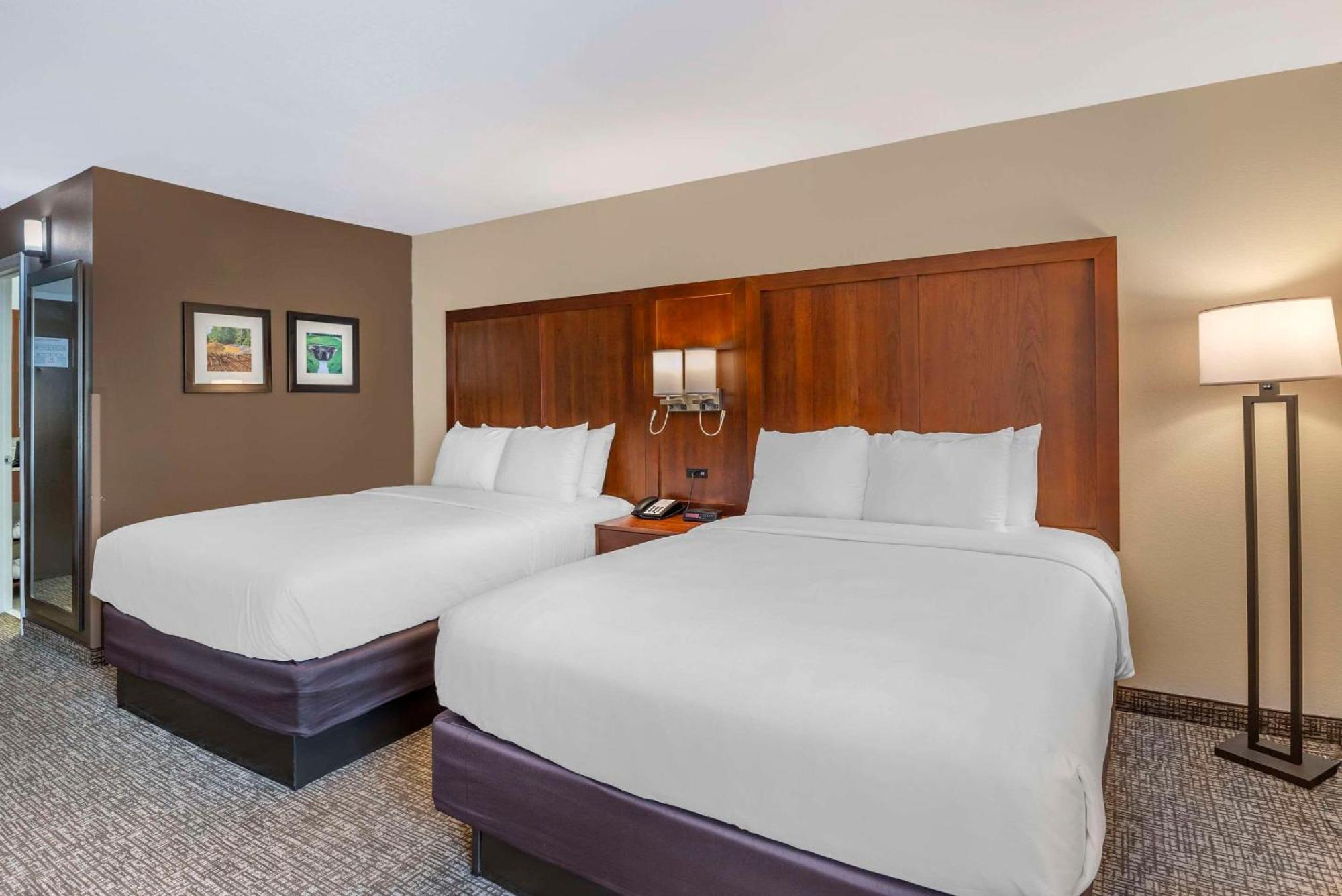 Comfort Inn Petersburg Near Fort Gregg-Adams Εξωτερικό φωτογραφία