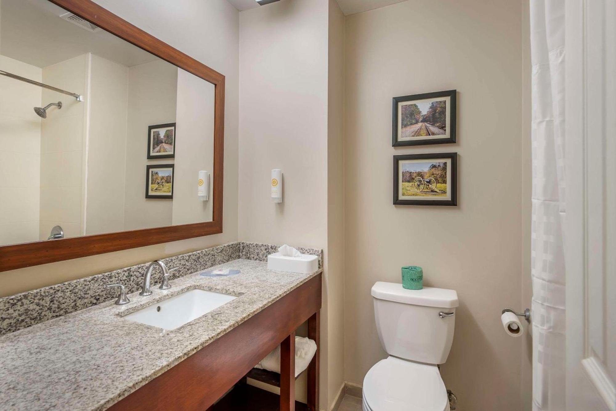 Comfort Inn Petersburg Near Fort Gregg-Adams Εξωτερικό φωτογραφία