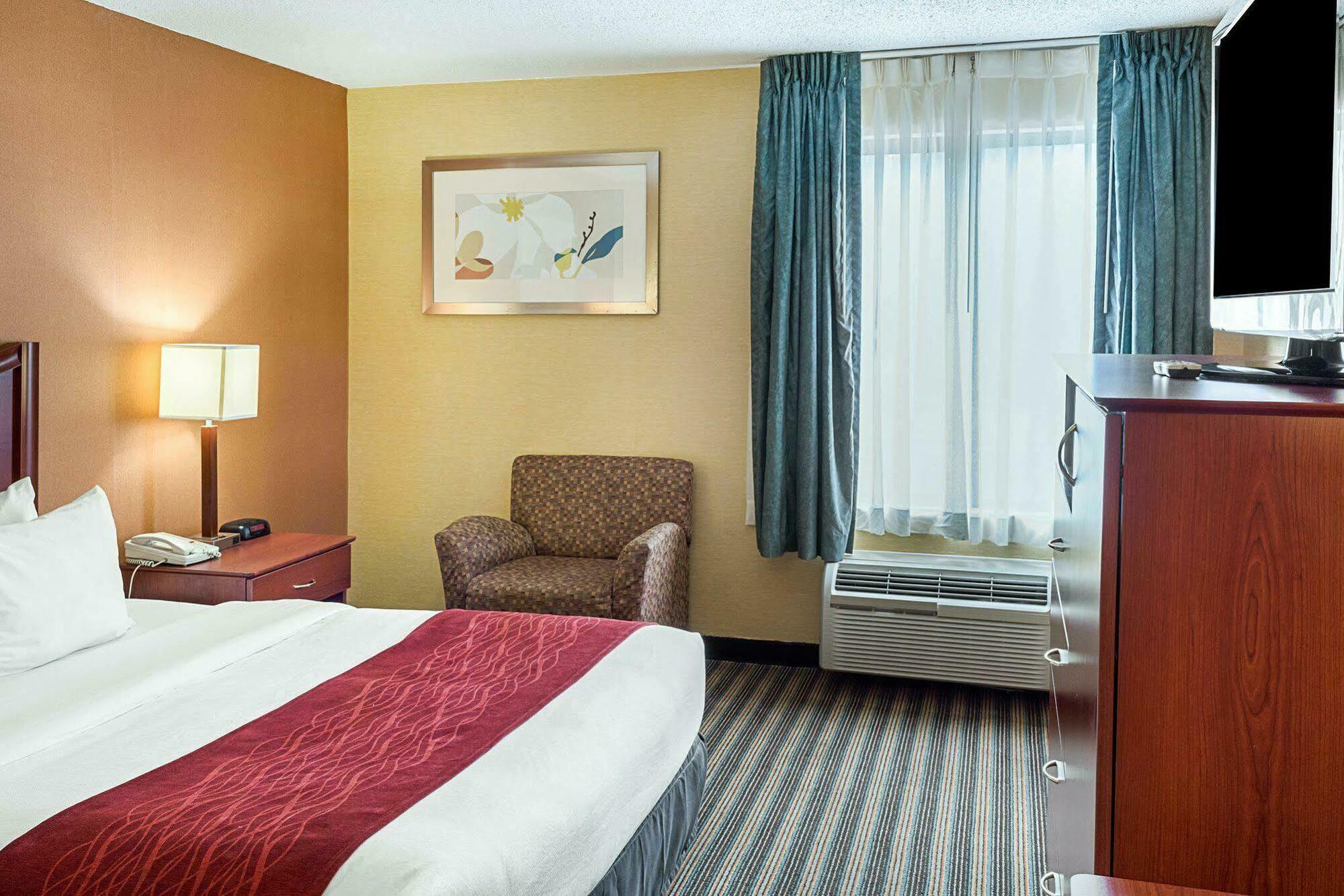 Comfort Inn Petersburg Near Fort Gregg-Adams Εξωτερικό φωτογραφία