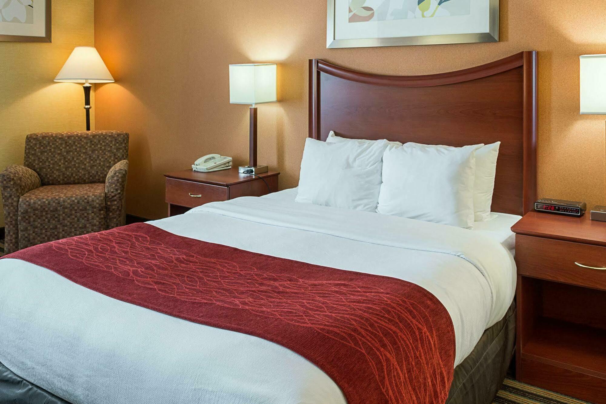 Comfort Inn Petersburg Near Fort Gregg-Adams Εξωτερικό φωτογραφία