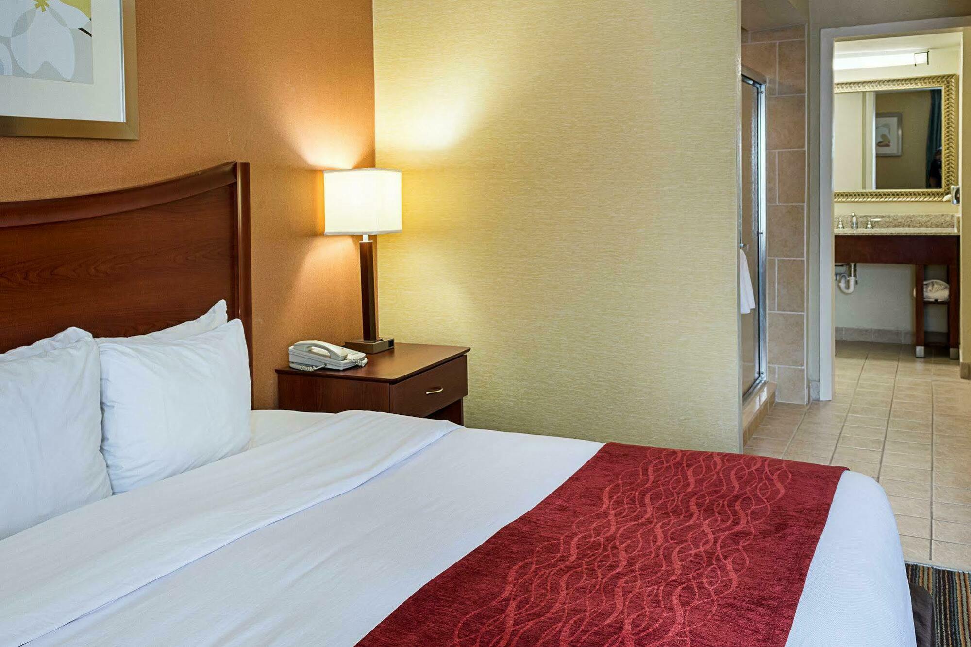 Comfort Inn Petersburg Near Fort Gregg-Adams Εξωτερικό φωτογραφία